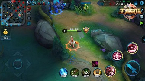 王者荣耀监视怎么用