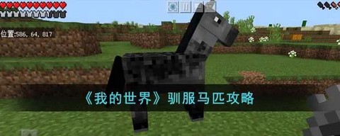 我的世界怎么驯服小白[图1]