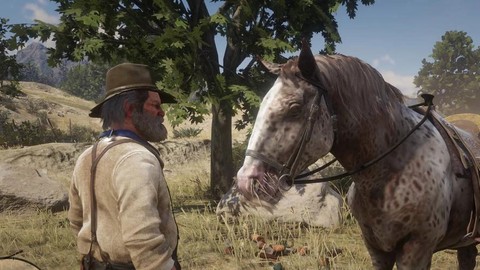 荒野大镖客2怎么养马