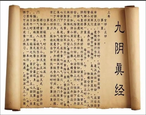 九阴真经怎么加入外域[图2]