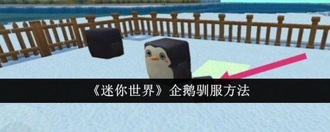 迷你世界企鹅蛋怎么用[图1]