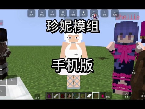 我的世界女朋友怎么弄