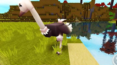 迷你世界中鸵鸟吃什么