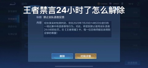 王者荣耀怎么解除禁言