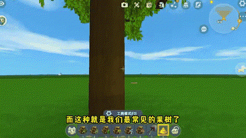 迷你世界树木怎么种植[图2]