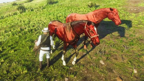 荒野大镖客怎么换战马